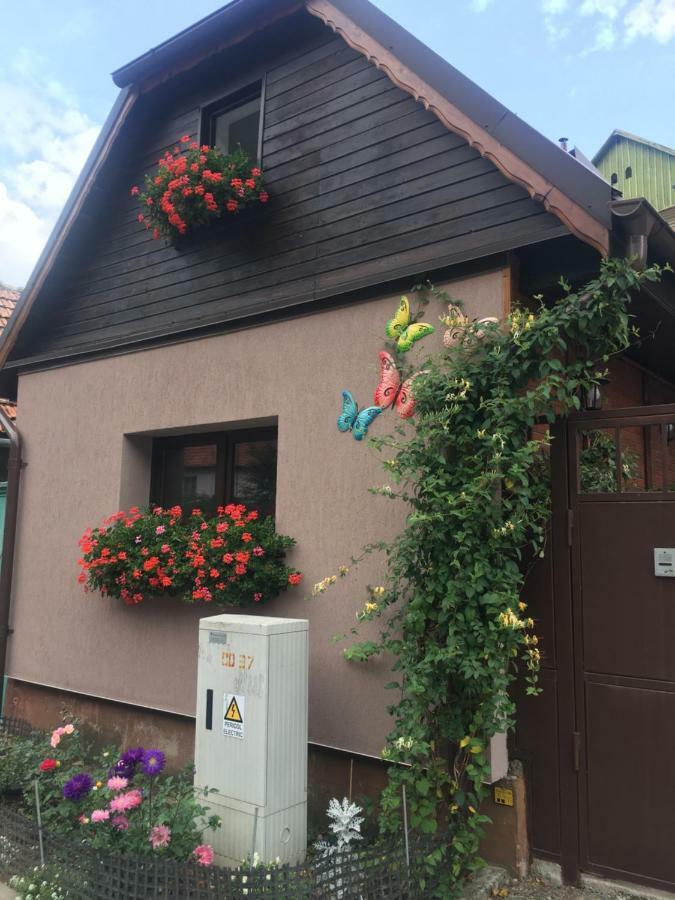 Maison Rosmina Brașov Exterior foto